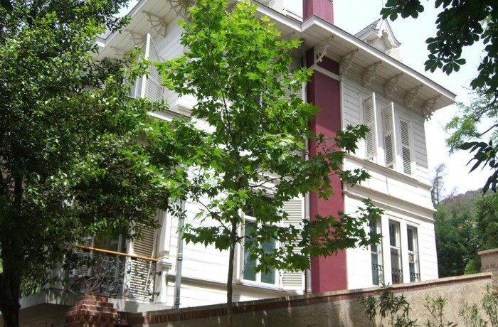 Büyükada Wiliam Joseph Jones Köşkü 33